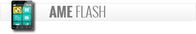 AME Flash