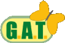 GAT